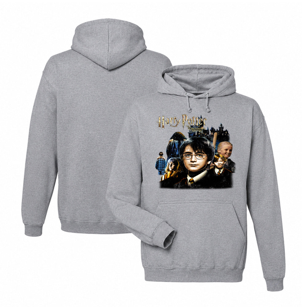 Harry Potter Sorcerer's Stone Hoodie in Graphite Heather