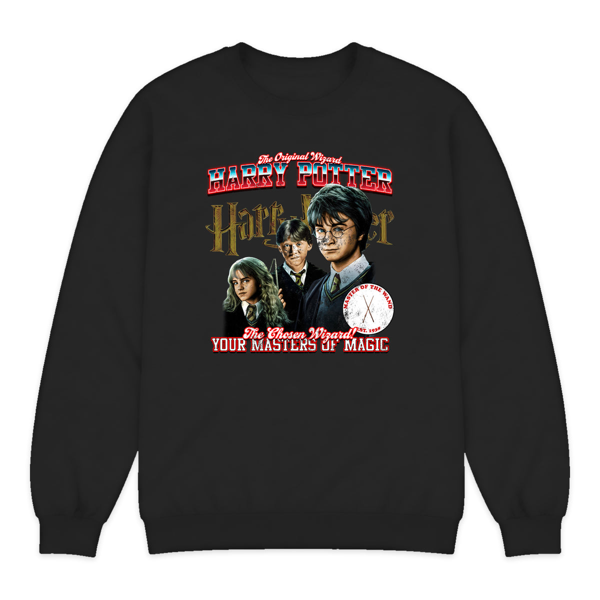 Harry Potter Trio Varsity Crewneck Sweatshirt in Black